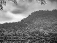 山林秘境民宿 ⛰️ 隱世仙境，逃離煩囂！