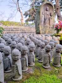 วันสบาย ๆ ที่ Kamakura เมืองริมทะเลใกล้โตเกียว