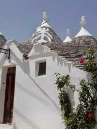 走讀童話蘑菇村(Alberobello)