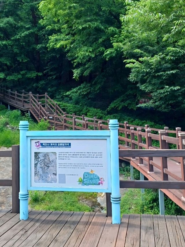 숲길 속 산책 추천 🌲