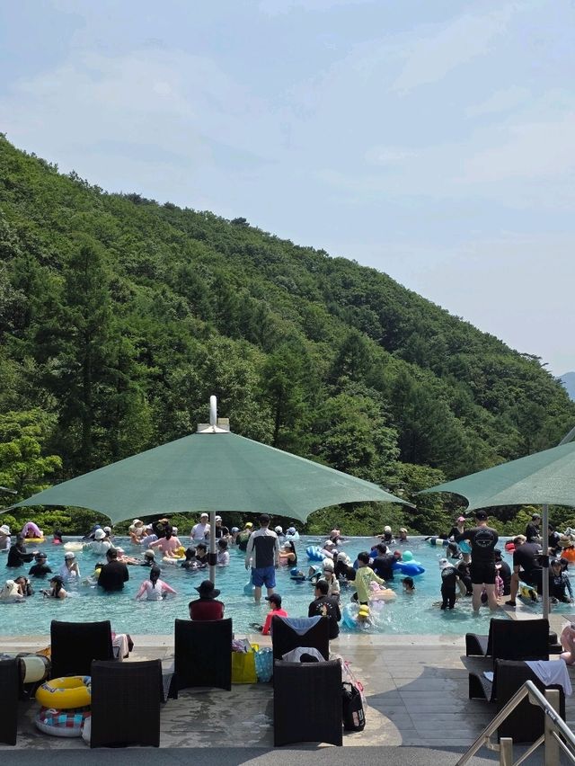 완벽한 휴식, 해브나인 힐링스파🌲💦
