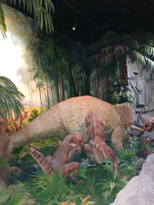 실내 탐험이 즐거운 고성공룡박물관🦖