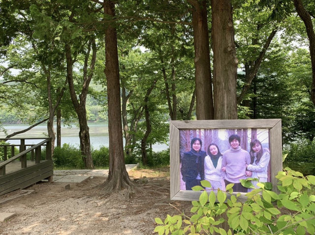 「從首爾飛進童話島：南怡島的每一步都在說故事」