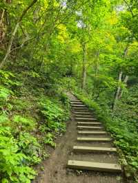해외여행 삿포로 등산 Mount Moiwa Hiking Walking trail 