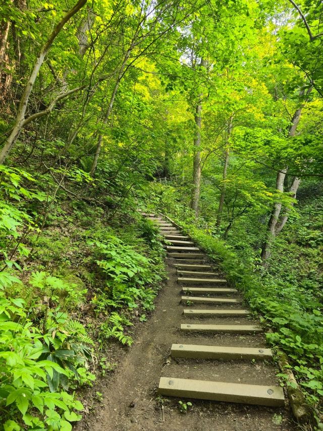해외여행 삿포로 등산 Mount Moiwa Hiking Walking trail 
