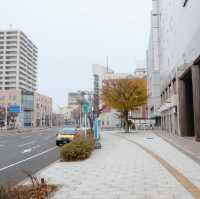 ที่พัก Premier Hotel Cabin President Hakodate