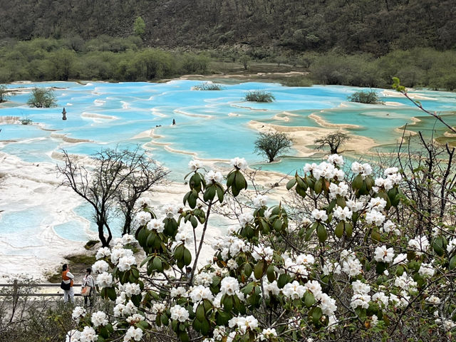 🏞️ Huanglong National Scenic Area – Fairyland at 3,500m Altitude
