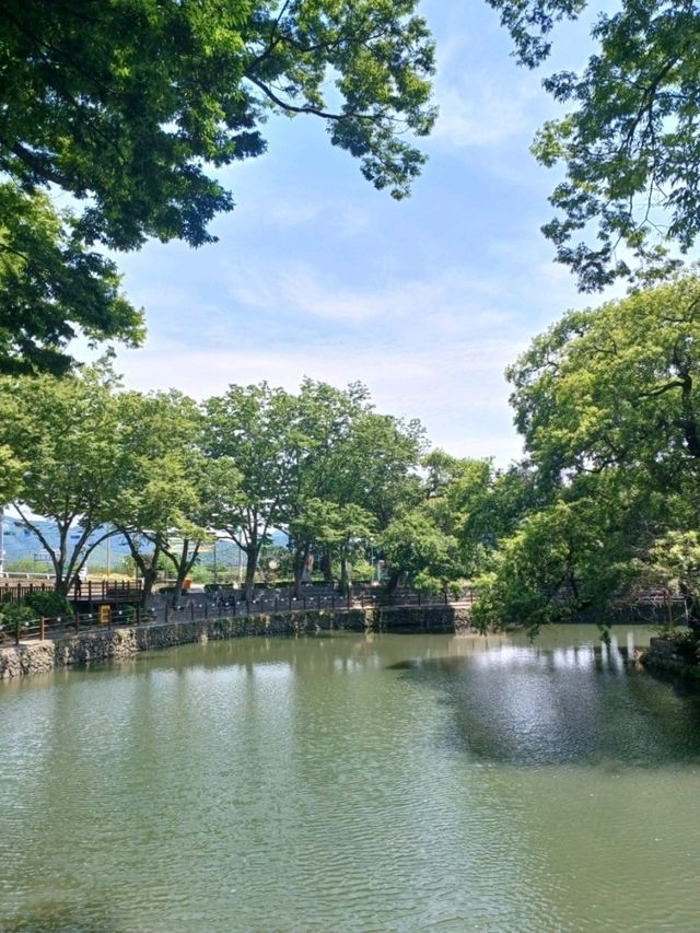 전통과 불빛이 어우러진 곳