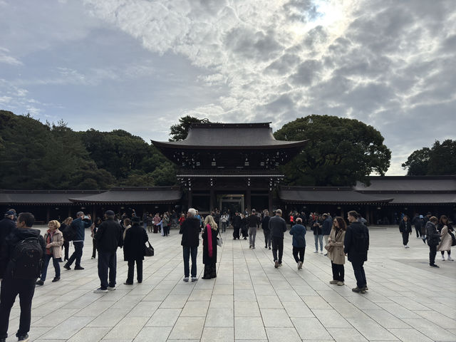 ⛩️ Shrine Among the Trees: Meiji Jingu’s Beauty Meets Tokyo’s Buzz 🌲
