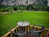 🌾 นอนฟิน กินหมูกระทะ กลางทุ่งนาเขียว 🍃