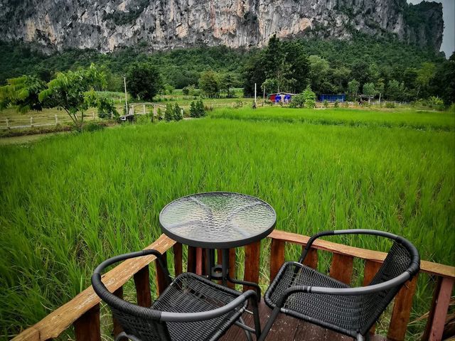 🌾 นอนฟิน กินหมูกระทะ กลางทุ่งนาเขียว 🍃