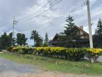 ที่พัก ฟีลธรรมชาติใกล้แค่เอื้อม 