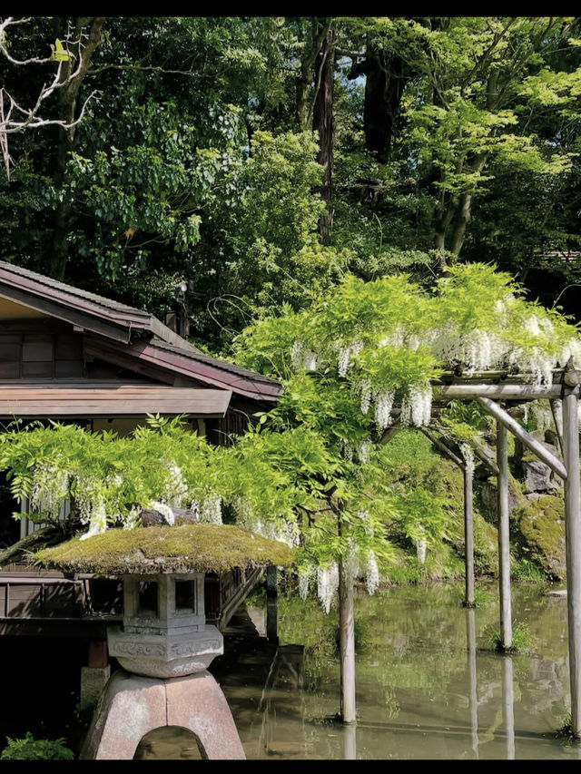 四季が彩る日本庭園🌸兼六園で心ほどけるひとときを