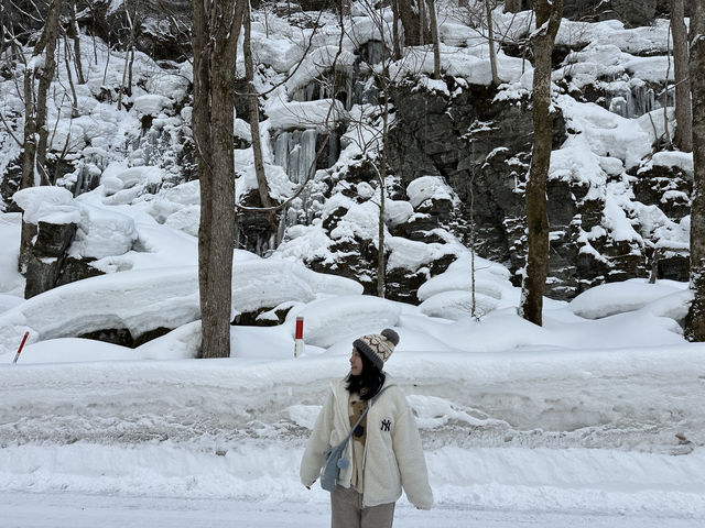 《❄️☃️ 雪之華》走進雪地童話—奧入瀨溪流❄️ #雪地 #冰雪世界