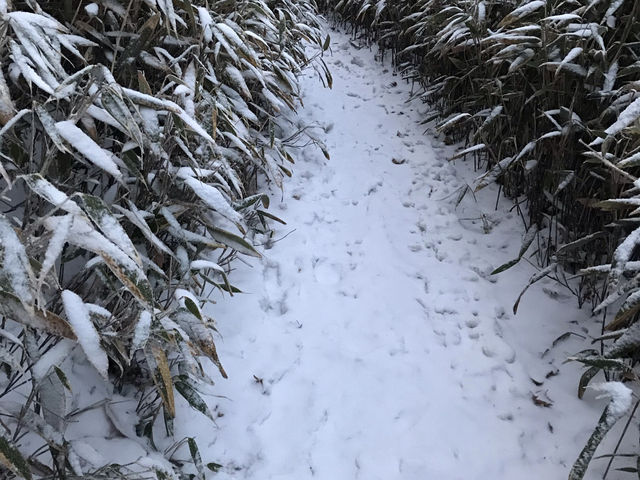 야간 산행 지리산