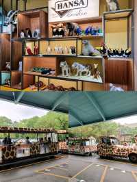 Exploring Taipei Zoo: A Fun-Filled Family Outing
