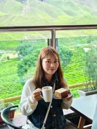 3 Days 2 Nights in Cameron Highlands – Cool Air, Colorful Gardens & Tea Views 🌸🍃