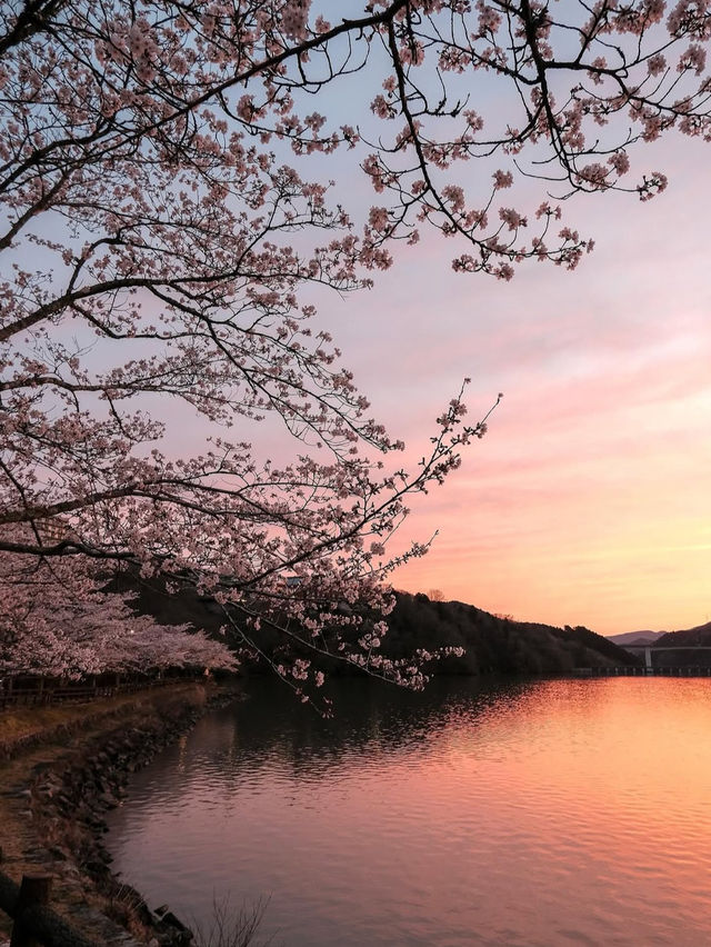 【自然が創り出す絶景】恵那峡で癒しのひとときを