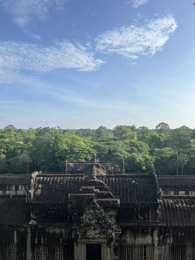 【世界遺産の朝日】アンコールワットで迎える感動の朝🌅