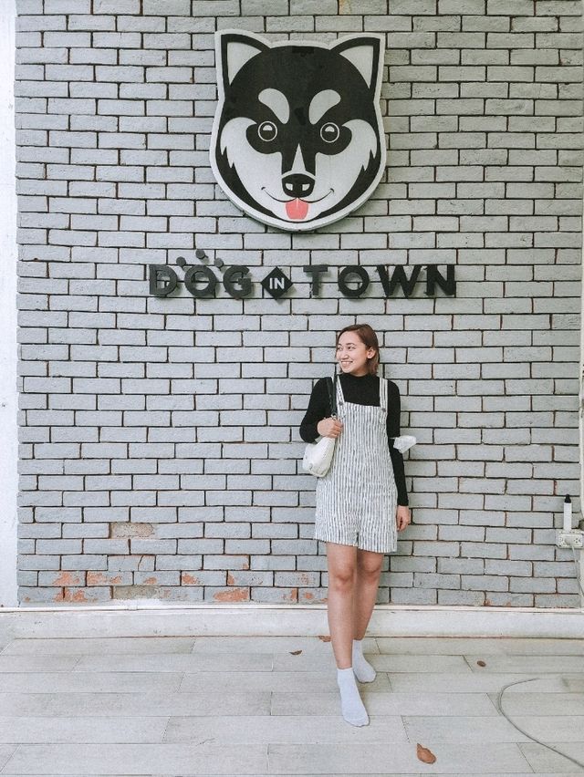 Cuteness overload at a Cafe in BKK 🇹🇭 🐾