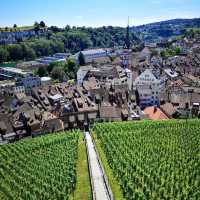 🏰✨ Summer Weekend at Munot Fortress: Schaffhausen’s Vine-Covered Guardian 