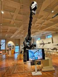 Leicester Museum and Art Gallery