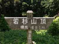 【霊気漂う山旅🌿】若杉山で心と体を浄化する登山体験