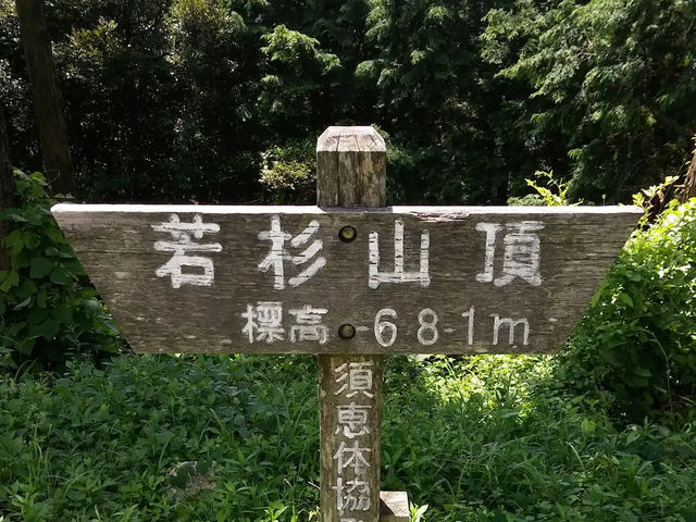 【霊気漂う山旅🌿】若杉山で心と体を浄化する登山体験