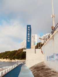 Taejongdae, Busan: A Majestic Coastal Headland of Dramatic Beauty