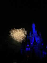 【東京🇯🇵】ディズニーランドで夢の時間を✨⭐️