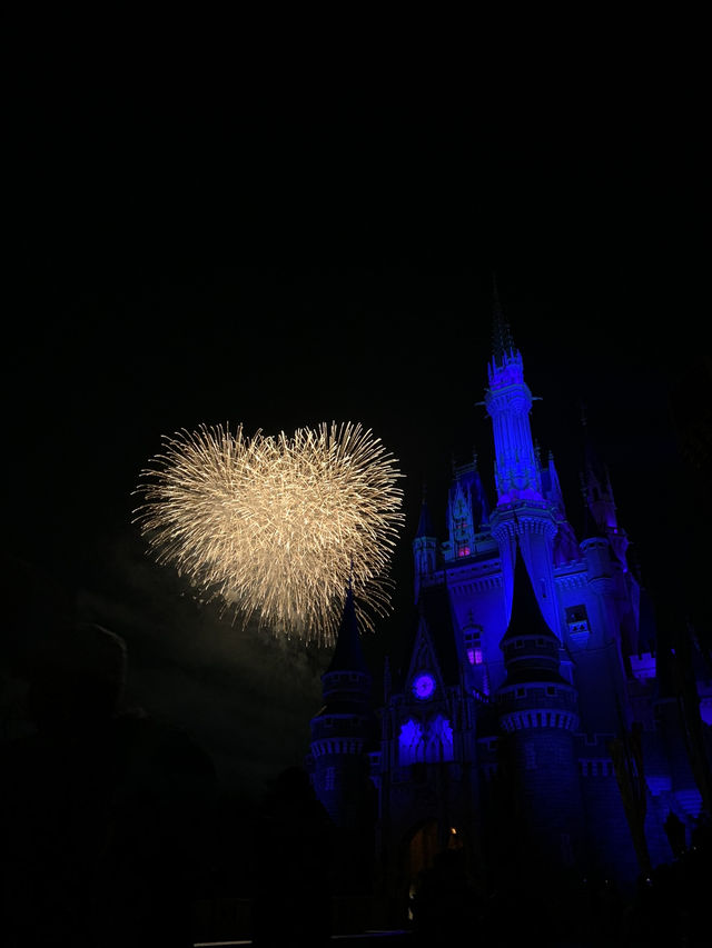 【東京🇯🇵】ディズニーランドで夢の時間を✨⭐️