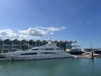 ⚓ Auckland Downtown Ferry Terminal｜渡往海灣與島嶼的起點