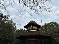 伊賀上野城（石垣非常壯觀）