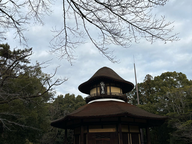 伊賀上野城（石垣非常壯觀）