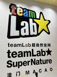 澳門Teamlab值得一遊！