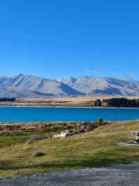 Picnics and Playtime by the Turquoise Treasure: Lake Tekapo Fun!
