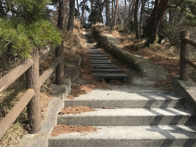 日本三景-松島四大觀之一（壯觀 大高森）