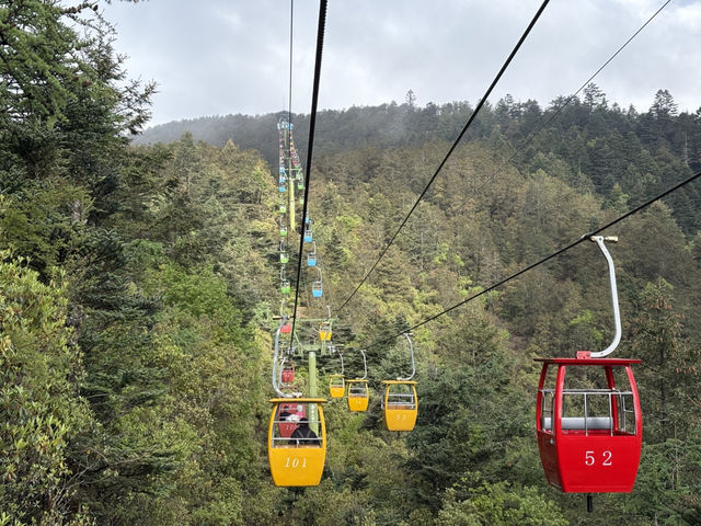 Experience in Lijiang, Yunnan China