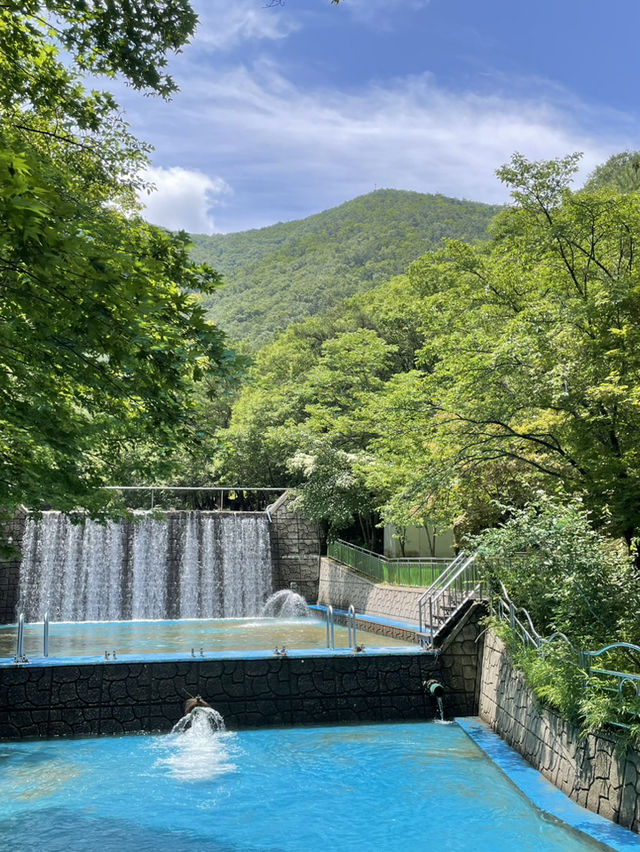 상소동 산림욕장에서 여름을 보내요🌿