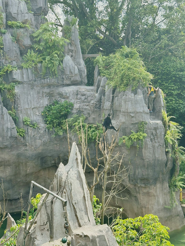 Singapore’s New Jungle Adventure: Caves, Climbs & Wild Thrills Await! 🧗🌿🇸🇬