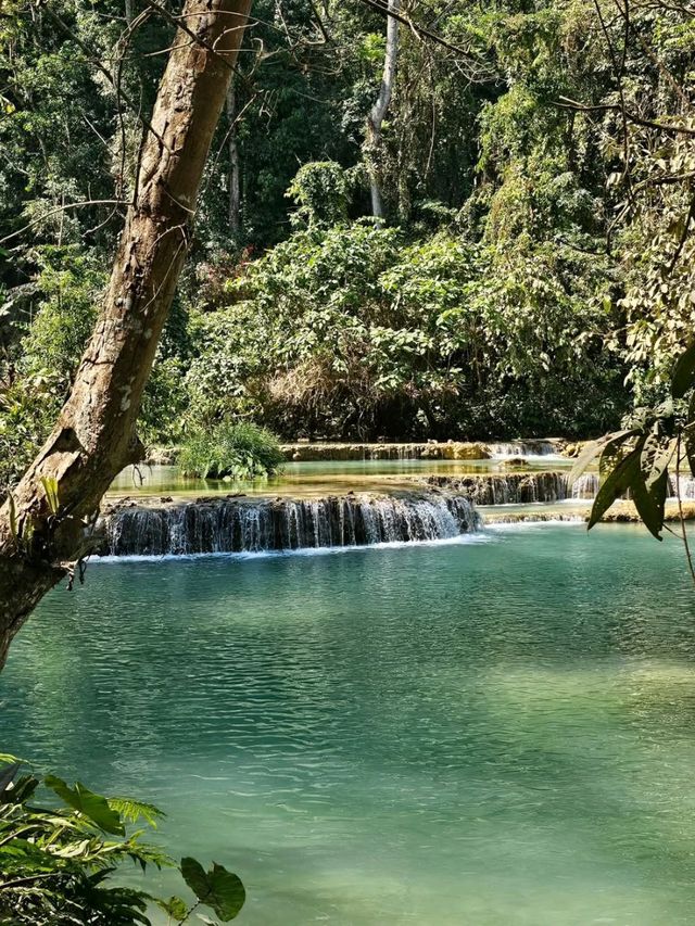 Turquoise Dreamland