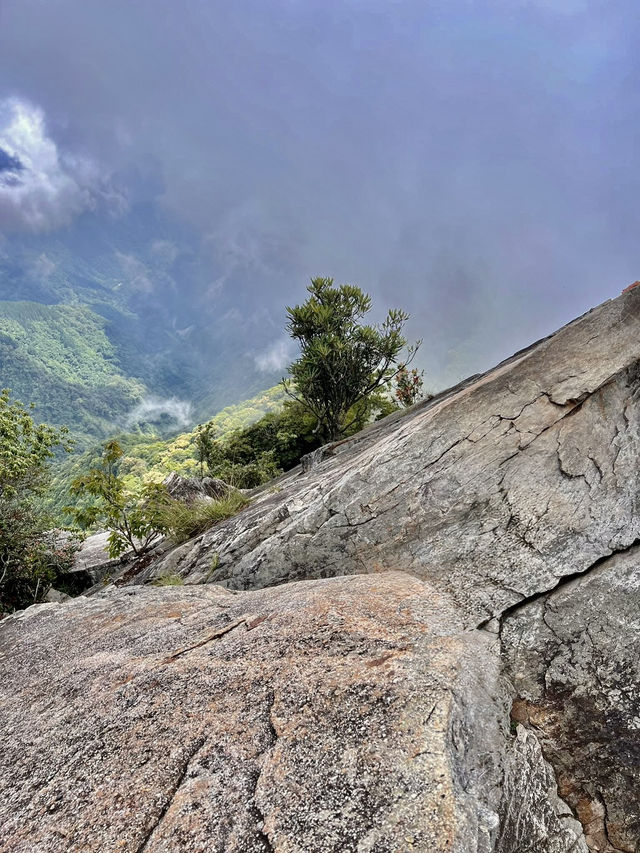 夏天就是要去中級山避暑