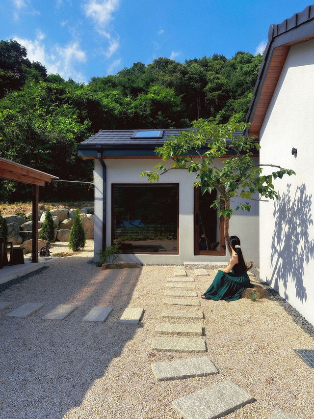 초여름 감성의 충청도 신상 애견동반 숙소💚