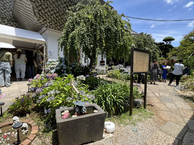 法輪寺花手水 東京新宿市區景點