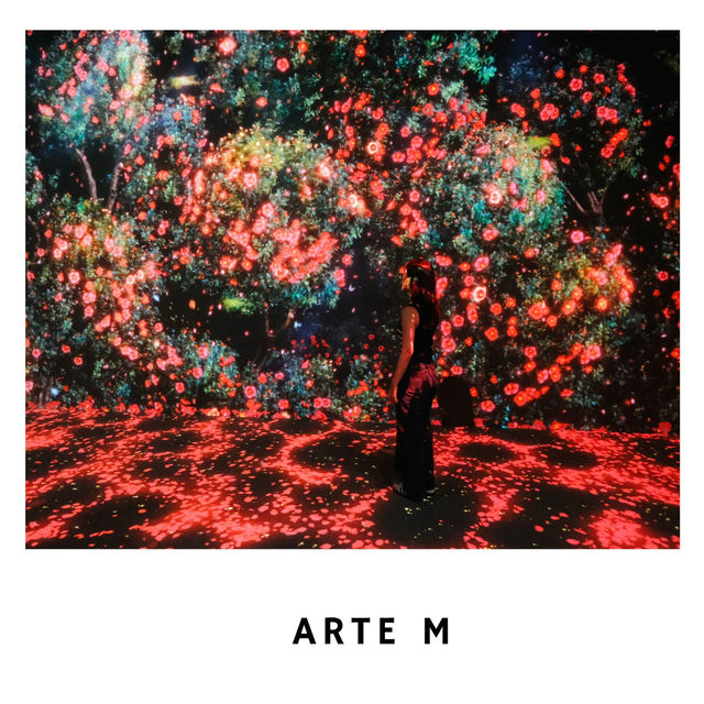 🎨 Arte M – นิทรรศการศิลปะดิจิทัลสุดล้ำ