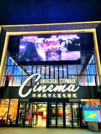 Shopping and Dining spree at Universal City Walk