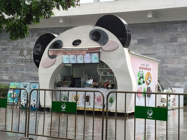 🎋【成都｜大熊貓基地】🐼 熊貓控的天堂 × 私人導覽超值推薦 × 捐款還送限量熊貓娃娃！