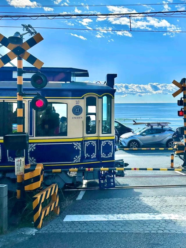 🎌✨ Tokyo Diaries: Where Cool Meets Culture! ✨🏙️