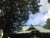 【雑司ヶ谷　鬼子母神　夏の朝の散歩】