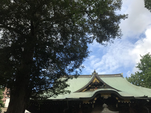 【雑司ヶ谷　鬼子母神　夏の朝の散歩】